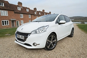 Images Dated 2014 March: E01519 2014 Peugeot 208