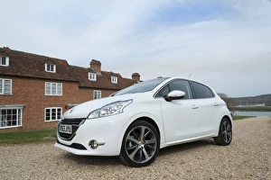 Images Dated 2014 March: E01519 2014 Peugeot 208