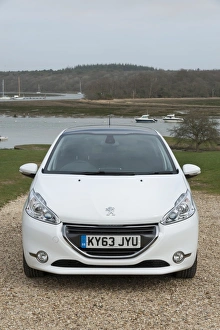 Images Dated 2014 March: E01519 2014 Peugeot 208