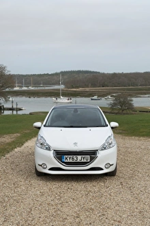 Images Dated 2014 March: E01519 2014 Peugeot 208