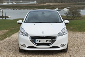 Images Dated 2014 March: E01519 2014 Peugeot 208
