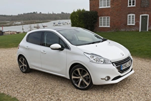 Images Dated 2014 March: E01519 2014 Peugeot 208