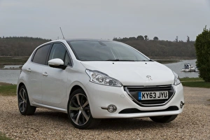 Images Dated 2014 March: E01519 2014 Peugeot 208