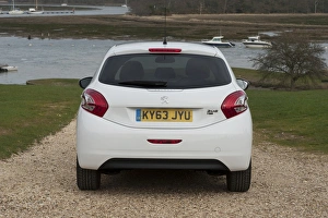 Images Dated 2014 March: E01519 2014 Peugeot 208