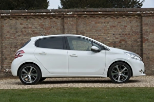 Images Dated 2014 March: E01519 2014 Peugeot 208