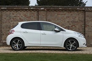 Images Dated 2014 March: E01519 2014 Peugeot 208