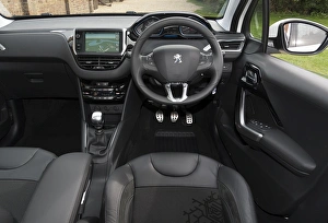Images Dated 2014 March: E01519 2014 Peugeot 208