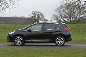 Images Dated 2014 March: E01521 2014 Peugeot 2008 HDI Feline SUV