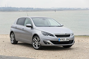 Images Dated 2014 March: E01522 2014 Peugeot 308 Feline Hatchback