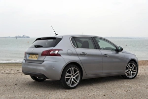 Images Dated 2014 March: E01522 2014 Peugeot 308 Feline Hatchback