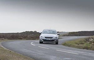 Images Dated 2014 March: E01522 2014 Peugeot 308 Feline Hatchback