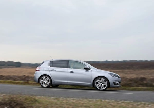 Images Dated 2014 March: E01522 2014 Peugeot 308 Feline Hatchback