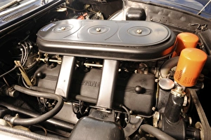 Images Dated 2008 August: Ferrari 365 gt
