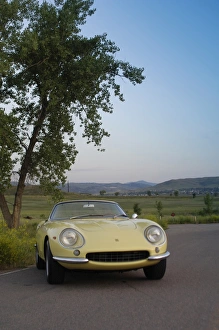 Italian Prints: Ferrari Nart Spyder