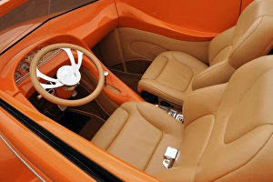 Ford custom orange