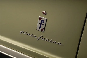 Images Dated 2007 November: Nash Healey 1953
