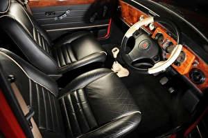 Images Dated 2008 September: Rover Mini Cooper