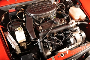 Images Dated 2008 September: Rover Mini Cooper