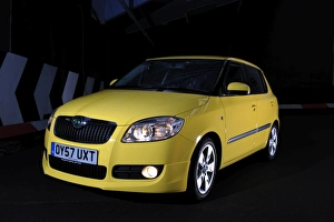 SKODA Fabia 2007