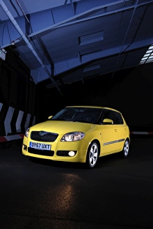 Images Dated 29th January 2008: SKODA Fabia 2007