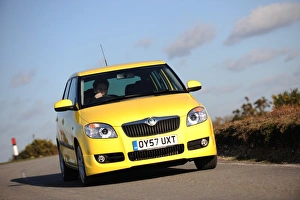 SKODA Fabia 2007