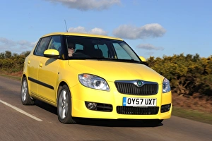 SKODA Fabia 2007