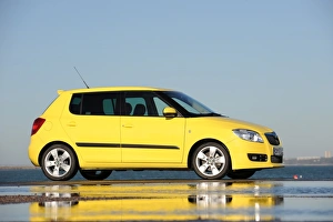 SKODA Fabia 2007