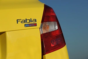 SKODA Fabia 2007