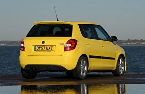 SKODA Fabia 2007