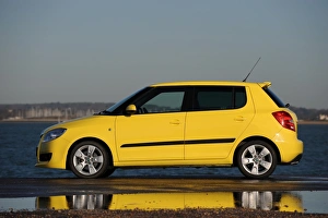 SKODA Fabia 2007