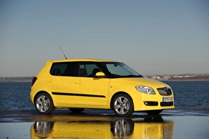 SKODA Fabia 2007