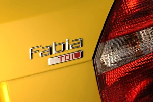 SKODA Fabia 2007