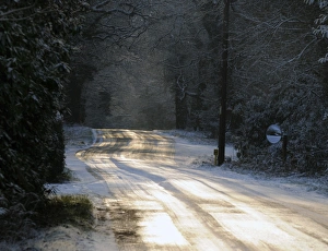 Road Prints: Sun glinting off