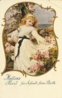 Advertisement for Mellins Food