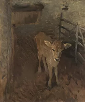 A Jersey Calf, 1893 (oil on canvas)